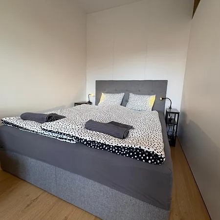 The White Nest Near Center * 布拉迪斯拉发